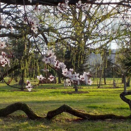 Bed and Breakfast Domaine Berenguer Ouches Экстерьер фото