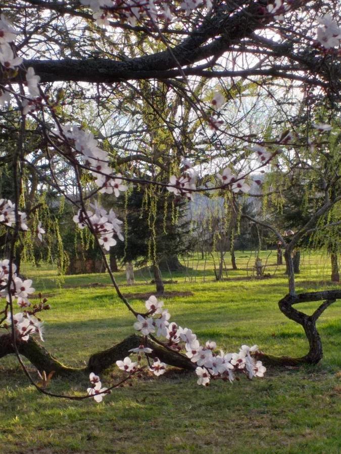 Bed and Breakfast Domaine Berenguer Ouches Экстерьер фото