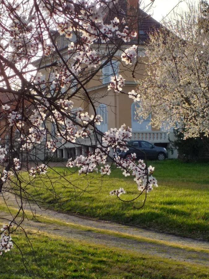 Bed and Breakfast Domaine Berenguer Ouches Экстерьер фото