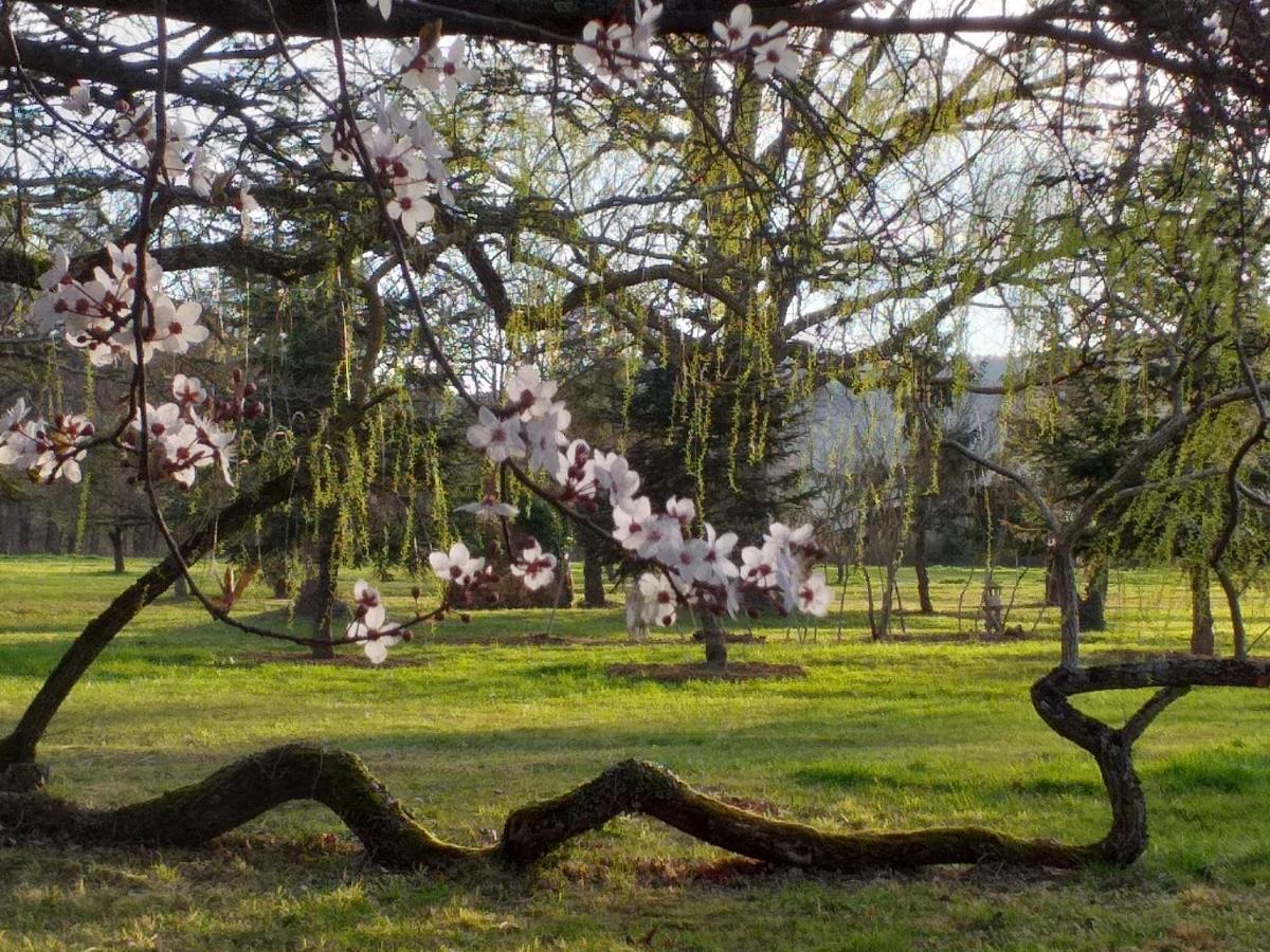 Bed and Breakfast Domaine Berenguer Ouches Экстерьер фото